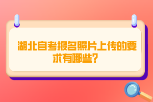 湖北自考报名照片上传的要求有哪些？