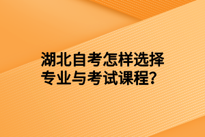 湖北自考怎样选择专业与考试课程？